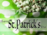 Happy St. Patrick’s Day from&nbsp;EyeCandyTO